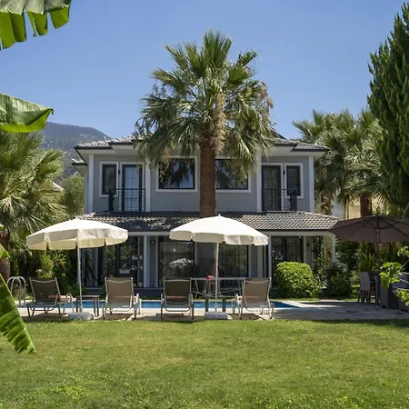 Palmiye Jakuzili Bahceli Havuzlu - Ocekhomes Villa *