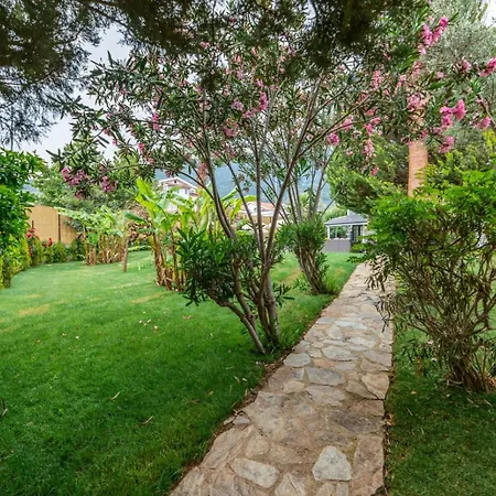 Palmiye Jakuzili Bahceli Havuzlu - Ocekhomes Villa Fethiye