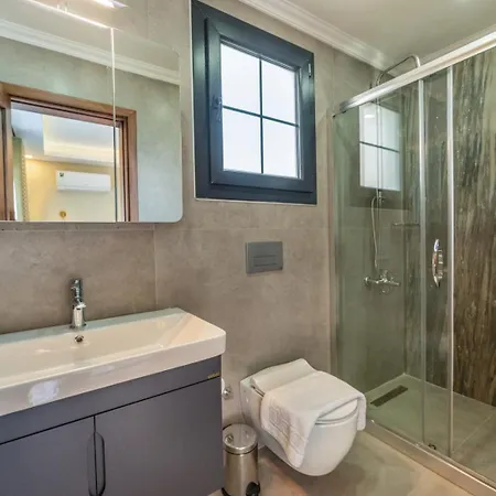 Palmiye Jakuzili Bahceli Havuzlu - Ocekhomes *