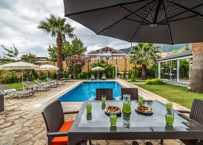 Villa Palmiye Jakuzili Bahceli Havuzlu - Ocekhomes