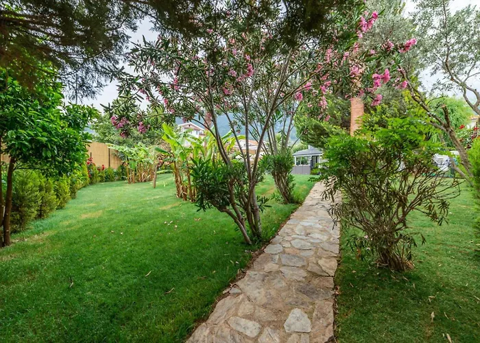 Palmiye Jakuzili Bahceli Havuzlu - Ocekhomes Villa Fethiye