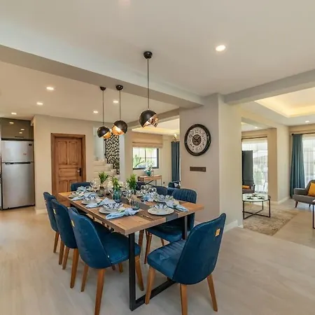 Palmiye Jakuzili Bahceli Havuzlu - Ocekhomes Villa Fethiye