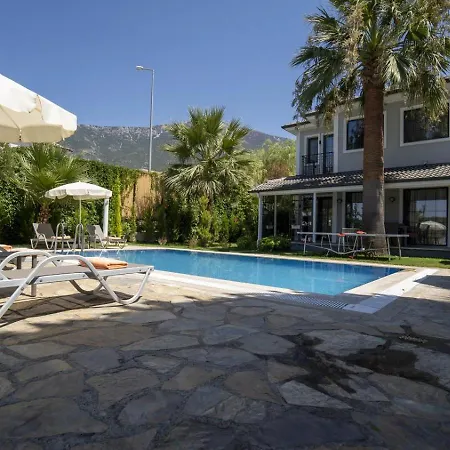 Vila Palmiye Jakuzili Bahceli Havuzlu - Ocekhomes *