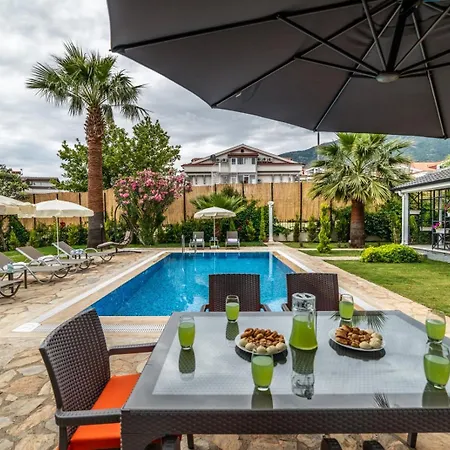 Vila Palmiye Jakuzili Bahceli Havuzlu - Ocekhomes
