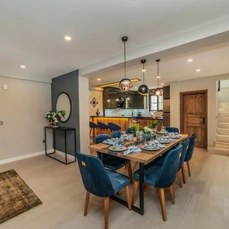 Palmiye Jakuzili Bahceli Havuzlu - Ocekhomes Vila Fethiye
