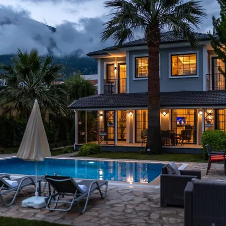 Palmiye Jakuzili Bahceli Havuzlu - Ocekhomes Villa