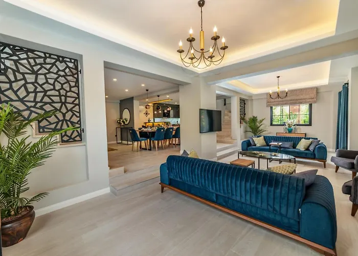 Palmiye Jakuzili Bahçeli Havuzlu - Ocekhomes *