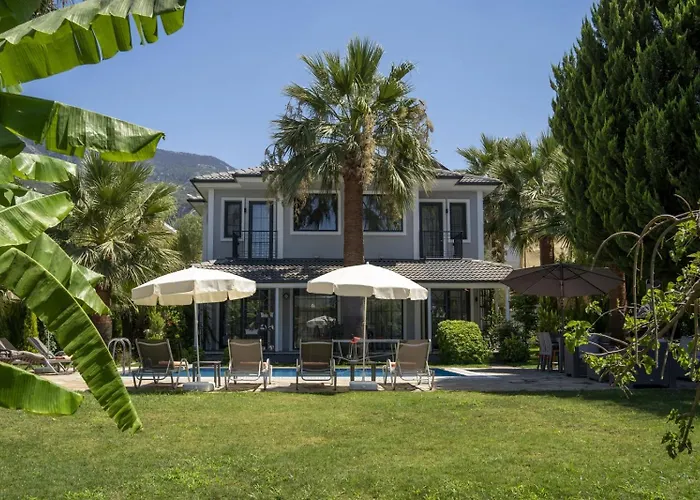 Palmiye Jakuzili Bahçeli Havuzlu - Ocekhomes Villa *