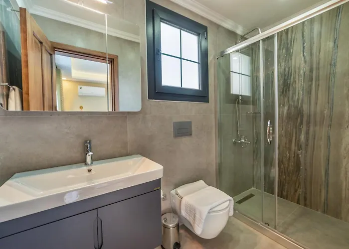 Palmiye Jakuzili Bahçeli Havuzlu - Ocekhomes *