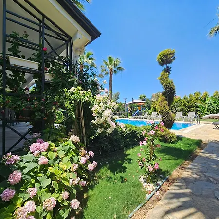 Palmiye Jakuzili Bahceli Havuzlu - Ocekhomes